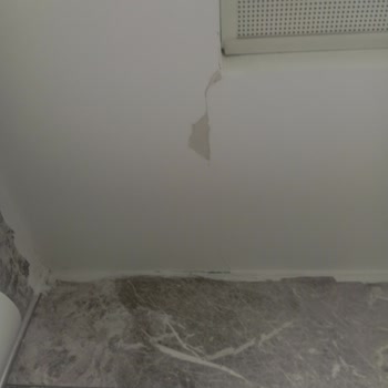 DASK Ödemesinin Tamir Maliyeti Altında Kalması Ve Yeniden Değerlendirme Talebi