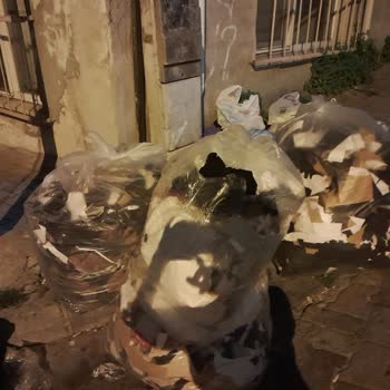 Çöp Birikimi Ön Kapıyı Kapattı, Kağıthane Belediyesi Çözüm Sunmuyor