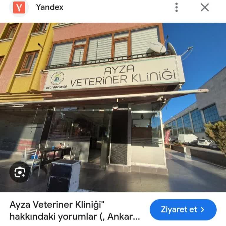 Ayza Veteriner Kliniği Aşı Yapılırken Yanlarında Olmama İzin Vermediler