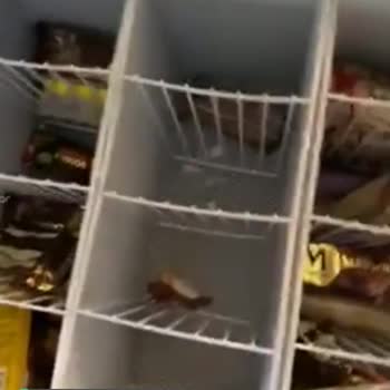 Algida Mal Göndermiyor Sezonun Ortasında!