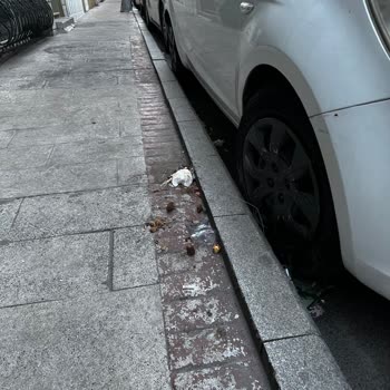 Savaş Sokakta Hayvan Dışkısı Ve Koku Sorunu İçin Acil Temizlik Talebi