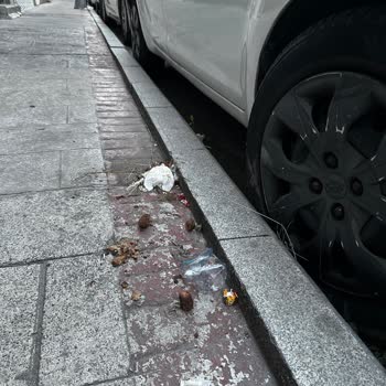 Savaş Sokakta Hayvan Dışkısı Ve Koku Sorunu İçin Acil Temizlik Talebi