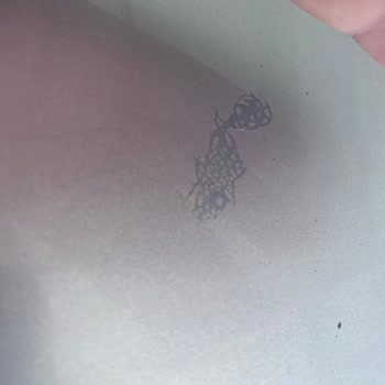 Yamanlar Şubesinde Ekspertiz Raporunda Görülmeyen Tavan Rötuşları Ve Boya Kalkmaları