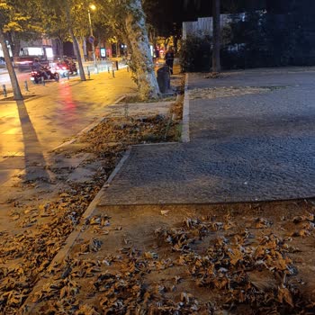 Kadıköy Belediyesi Ekiplerinin Bağdat Caddesi Suadiye'de Gösterişçi Ve Eşitsiz Temizleme