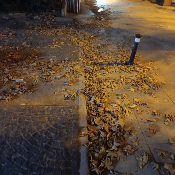 Kadıköy Belediyesi Ekiplerinin Bağdat Caddesi Suadiye'de Gösterişçi Ve Eşitsiz Temizleme