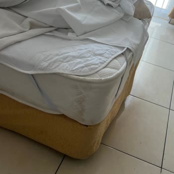 Yanıltıcı Reklam Ve Ek Bina, Hijyen Sorunlarıyla Kabus Otel Deneyimi