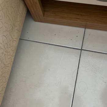Yanıltıcı Reklam Ve Ek Bina, Hijyen Sorunlarıyla Kabus Otel Deneyimi