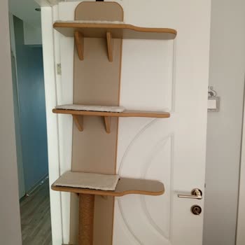 Teslimat Gecikmesi Ve Kusurlu Kedi Rafı Nedeniyle İade Talebi