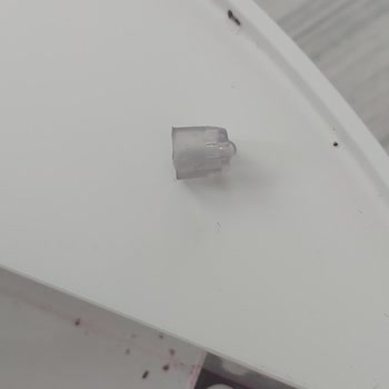 Roborock Q8 Max Pro Water Tank Broken – Spare Part Unavailable