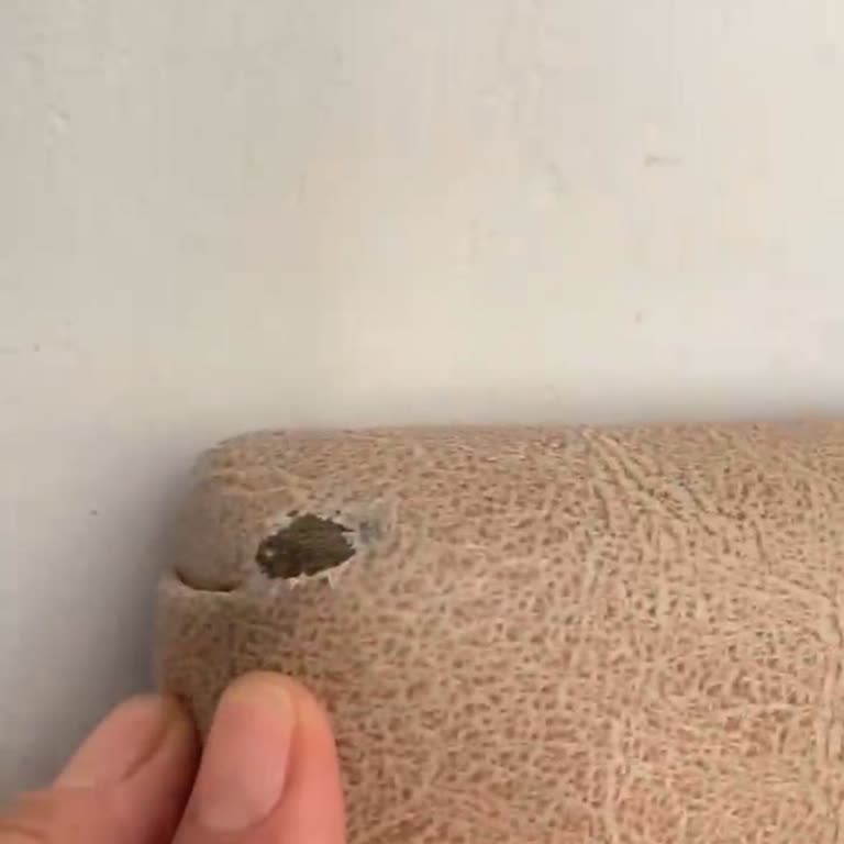 Kurulumda Yırtık Başlık Ve Cevapsız Müşteri Desteği