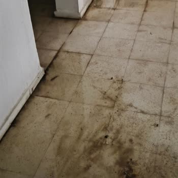 Emlak Yönetim'in Umursamaz Tutumu, Çatılarda Su Sızıntısı Ve Kapıların Kırılması