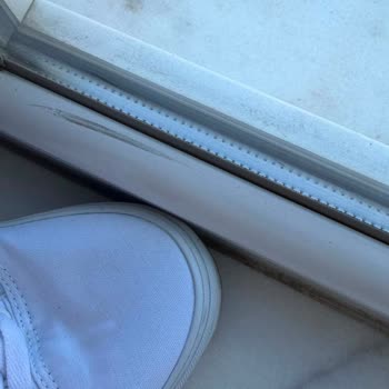 Vans Old Skool Ayakkabısında Bir Günlük Kullanımda Yırtılma Ve Kalite Hayal Kırıklığı