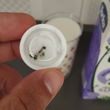Migros'tan Torku Laktozsuz Süt Kapak Küflü Ve Sağlık Endişesi