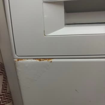 Bosch Çamaşır Makinesinin Deterjan Kapağındaki Pas Sorunu Ve Ücretsiz Parça Değişimi Talebi