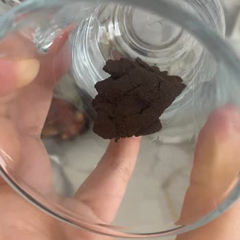 Donmuş Ve Topak Topak Collagen Kahve Ürünü Şikayetim