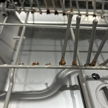 Franke Bulaşık Makinesinde Tekrarlayan Sepet Paslanması Ve Ücretli Değişim Şikayeti
