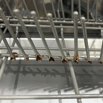 Franke Bulaşık Makinesinde Tekrarlayan Sepet Paslanması Ve Ücretli Değişim Şikayeti