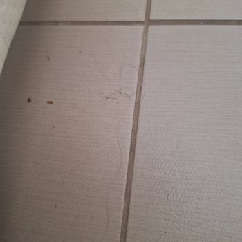 Royal Beach Club Otelinde Yetersiz Plaj, Kısıtlı Yemek Ve Bakımsız Odalar