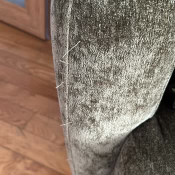 Pati Dostu Olması Söylenen Koltuk Takımı Kediler Tarafından Hemen Yırtıldı
