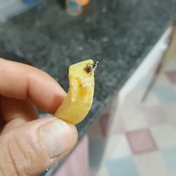 BİM Şubesinde Dondurulmuş Patates Ürünün İçinde Böcek