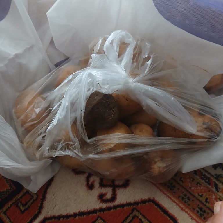 Getir Patateslerin Çürük Gelmesi