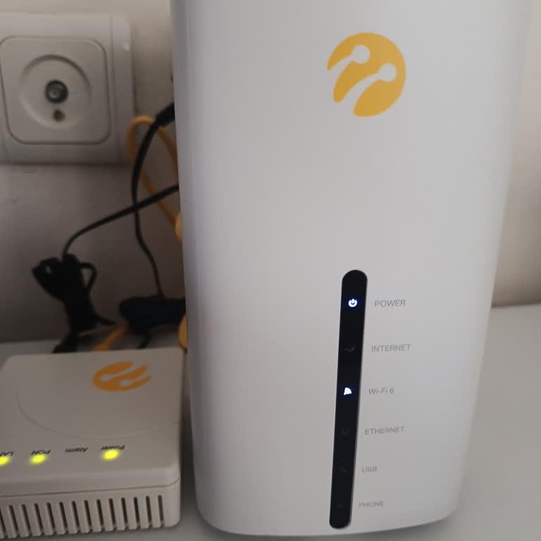 Internet hizmeti gecikmesi ve müşteri temsilcisi şikayeti