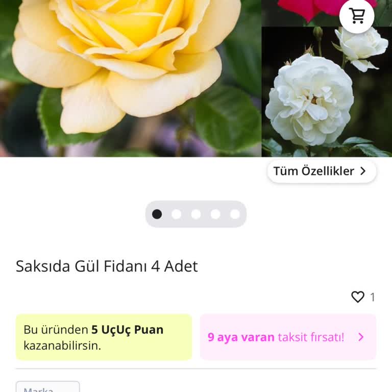 Yanlış Ürün Gönderildiği İçin Hemen İade Veya Doğru Ürün Talebi