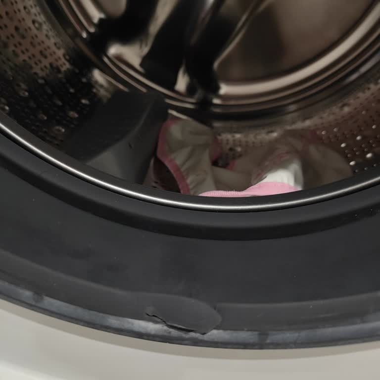 Bosch Çamaşır Makinesinde Körük Yırtılması İçin Haksız Suçlama Ve Ücret Talebi