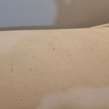 Kırılan Koltuk Ve Deforme Kumaşla Ayıplı Ürün