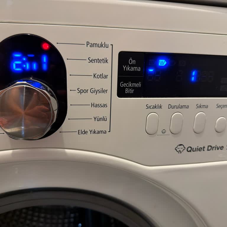 Samsung WF9902 Çamaşır Makinesinde Ön Panel Ekranı Kronik Şekilde Kararıyor
