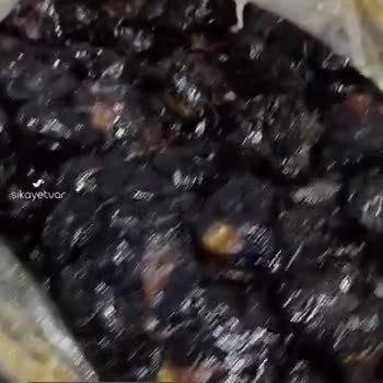 THY Gecikme Nedeniyle Ezilen Hurmalar