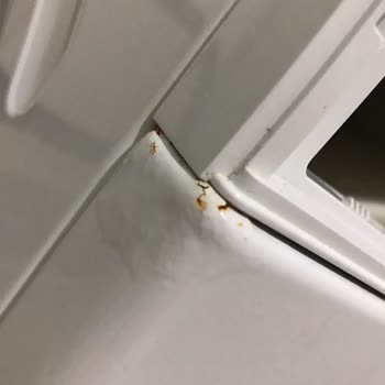 Deterjan Gözündeki Paslanma Ve Kabarma İçin Siemens Ücretsiz Onarım Talebi