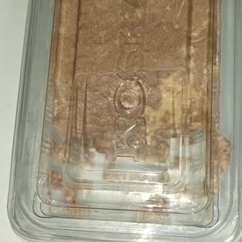 Koska Nazar Boncuklu Ürünün Neredeyse Yarısının Paket İçinde Eksik Olması