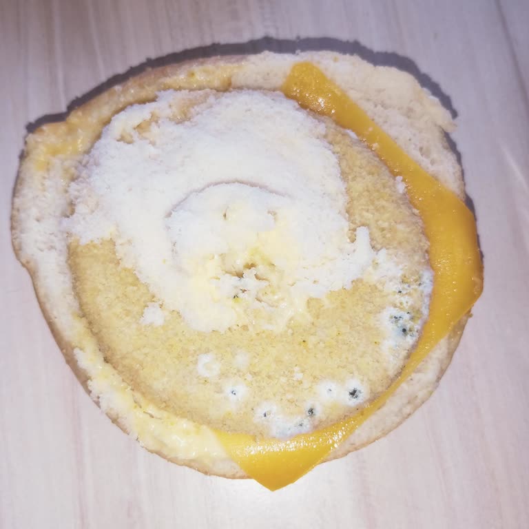 Küflü Hamburger Tüketimi Çocuklarım Ve Benim Sağlığımı Tehlikeye Attı