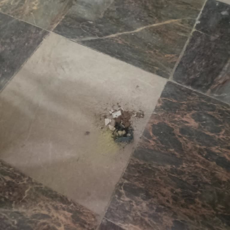 TOKİ Kırıkkale Bahşılı 5. Etap Temizlik Sorunu
