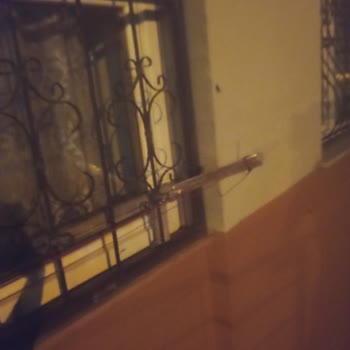 Ağrı Doğubayazıt TOKİ'de Haşere Sorunu İçin Acil Çözüm Talebi