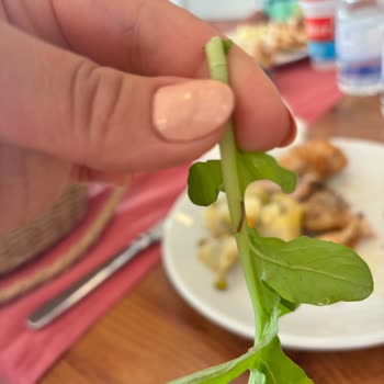 Böcekli Açık Büfe Ve Vaad Edilen A La Carte Akşam Yemeğinin Reddedilmesi