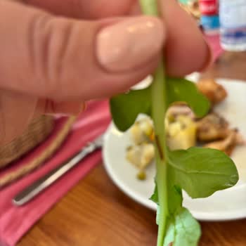 Böcekli Açık Büfe Ve Vaad Edilen A La Carte Akşam Yemeğinin Reddedilmesi