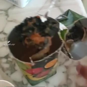 Cappy İçeceğinden Çıkan Pislik