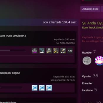 Steam Hüsranı!