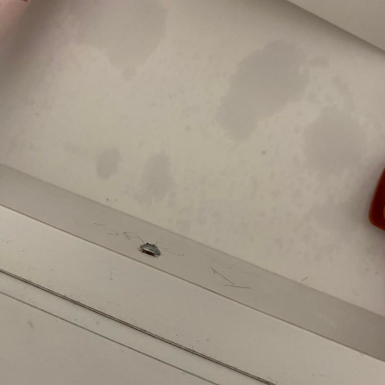 Deodorante Nivea Se Filtra y Deja Mancha Permanente en Mi Mueble
