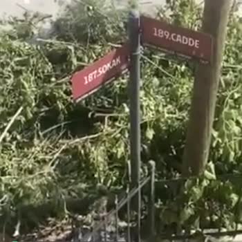 Çankaya Belediyesi Temizlikçileri Çalışmıyorlar