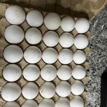 Küflü Yumurta Satışı Ve İade Talebi