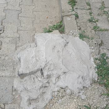 Eki aç
