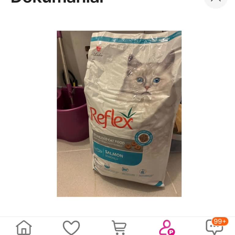 Yanlış Kedi Maması Gönderimi Ve Geciken İade Süreci