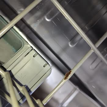 Samsung Çamaşır Ve Bulaşık Makinelerinde Küflenme Ve Boya Dökülmesi Ücretli Değişim Talebi