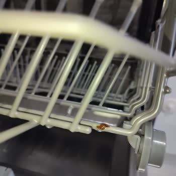 Samsung Çamaşır Ve Bulaşık Makinelerinde Küflenme Ve Boya Dökülmesi Ücretli Değişim Talebi