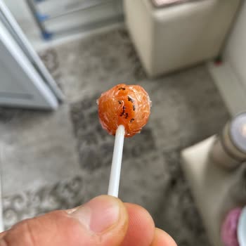 Toybox Şekerinde Ölü Karınca Bulunması Ve Cevapsız Müşteri Hizmetleri