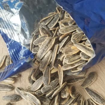 Amigo Çekirdekte İri Boy İddiası Gerçekleşmedi Ve Kalite Düşük