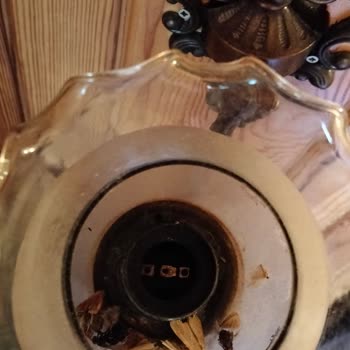 Ağva Green Otelinde Yanıltıcı Manzara Ve Hijyen Sorunları Nedeniyle İade Talebi